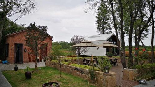 青娱乐视频精分类,深度解析热门内容精分类