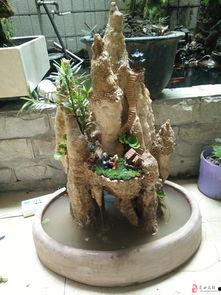 假山盆景视频,一盆一景，自然与艺术的完美融合