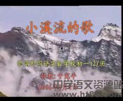 小溪流视频,探寻自然之美与生命之源