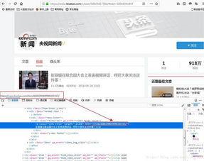视频地址分析,深度解析视频地址背后的奥秘