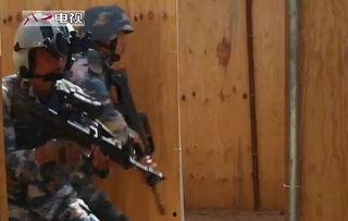 蛟龙出现的视频,水下奇观揭秘